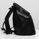 Рюкзак для переноски животных, 31,5 х 25 х 33 см, черный - фото 8500374