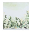 Бумага для скрапбукинга «Зелень», 30.5×32 см, 190 г/м² - Фото 3