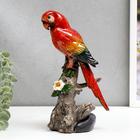 Сувенир полистоун лак "Красный попугай Ара на дереве" 21х10,5х8 см - фото 3514080