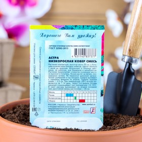 Семена цветов Астра "Ковер", низкорослая, смесь, 0,2 г (комплект 3 шт)
