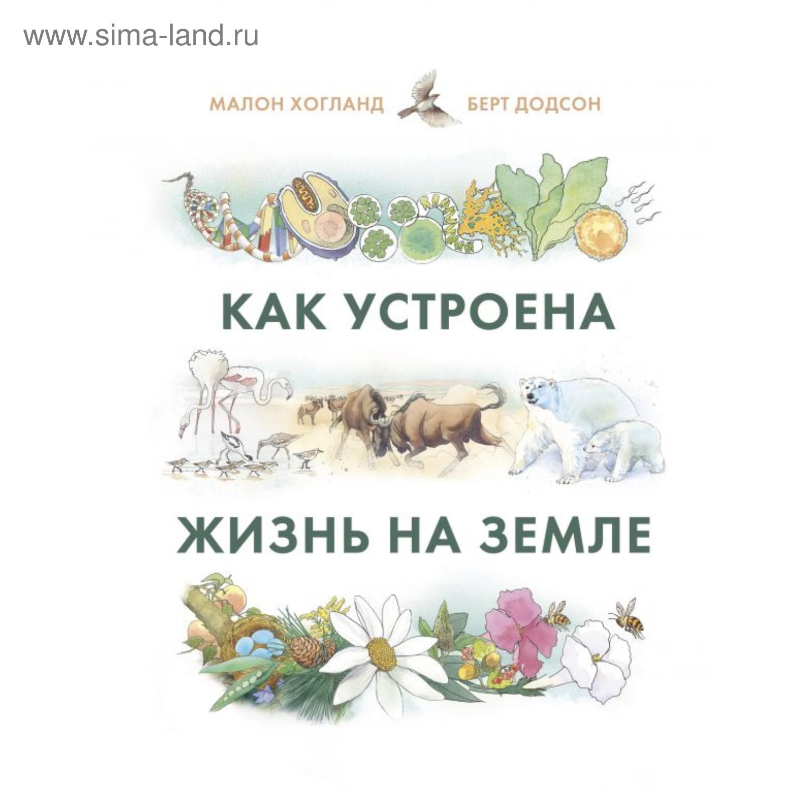 Использование ИКТ - Начальные классы - Презентации