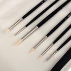 Набор кистей Синтетика 12 штук Malevich "Тициан" (круглые №0, 1.5, 2.5, 4, плоская №2, 4, 6, 10, 14, 20, плоскоовальная №8, скошенная №12) в пенале¶ - Фото 4