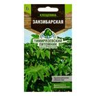 Семена цветов Клещевина "Занзибарская", 5 шт - Фото 1