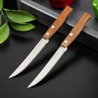 Набор кухонных ножей для мяса TRAMONTINA Tradicional, 2 шт, лезвие 12,7 см - фото 9132178