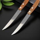 Набор кухонных ножей для мяса TRAMONTINA Tradicional, 2 шт, лезвие 12,7 см - Фото 2