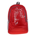 Рюкзак молодёжный "Дракон", 1 отдел, 2 наружных кармана, 2 боковых кармана сетка, цвет красный - Фото 1