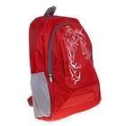 Рюкзак молодёжный "Дракон", 1 отдел, 2 наружных кармана, 2 боковых кармана сетка, цвет красный - Фото 4