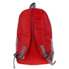 Рюкзак молодёжный "Дракон", 1 отдел, 2 наружных кармана, 2 боковых кармана сетка, цвет красный - Фото 5