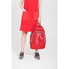 Рюкзак молодёжный "Дракон", 1 отдел, 2 наружных кармана, 2 боковых кармана сетка, цвет красный - Фото 2