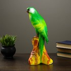 Копилка "Попугай" зеленый 37см - Фото 4