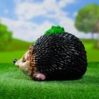 Садовая фигура из гипса «Ёж с божьей коровкой», 24×17×17 см - Фото 5