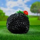 Садовая фигура из гипса «Ёж с божьей коровкой», 24×17×17 см 659050 - фото 319862998