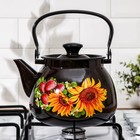 Чайник, 3.5 л, эмалированная сталь, деколь МИКС, коричневый - Фото 5