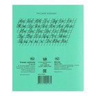 Тетрадь 12 л косая линейка «Зелёная обложка» (ГОЗНАК) - Фото 3