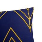 Наволочка «Этель. Желтый лепесток», 70×70 см, поплин, хлопок 100% 5450307