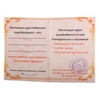 Набор орден со стразами "60 лет" и удостоверение - Фото 3