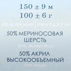 Пряжа "Зимняя премьера" 50%меринос.шерсть, 50% акрил объёмный 150м/100гр (500-Грозовое небо) - Фото 4