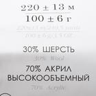 Пряжа "Народная" 30% шерсть, 70% акрил объёмный 220м/100гр (58-Коралл) - Фото 4