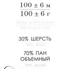 Пряжа "Народная классика" 30%шерсть, 70% акрил 400м/100гр (581-Св.изумруд) - Фото 4