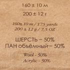 Пряжа "Сувенирная" 50% акрил, 50% шерсть 160м/200гр (1160-Св.сирен.меланж) - Фото 4