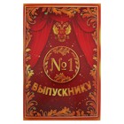 Папка адресная, ламинированная картон, 22.5×30.8 см "Выпускнику №1" - Фото 1