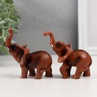 Фигурка «Слон», под красное дерево, 7×8×3 см, МИКС - Фото 1