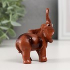 Фигурка «Слон», под красное дерево, 7×8×3 см, МИКС - Фото 5