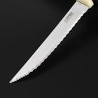 Нож кухонный «Мультиколор», для мяса, лезвие 11,5 см, с пластиковой ручкой - Фото 2