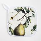 Прихватка «Этель. Груши», 19×19 см,100% хлопок, ватин 250 г/м² (двухсторонняя) - фото 42107750