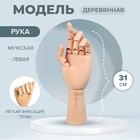 Модель деревянная рука, мужская, левая, 31 см - Фото 1