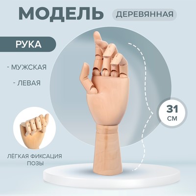 Модель деревянная рука, мужская, левая, 31 см