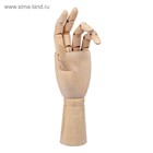 Модель деревянная рука, мужская, левая, 31 см - Фото 3