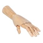 Модель деревянная рука, мужская, левая, 31 см - фото 8765115