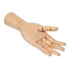 Модель деревянная рука, мужская, левая, 31 см - фото 8765116
