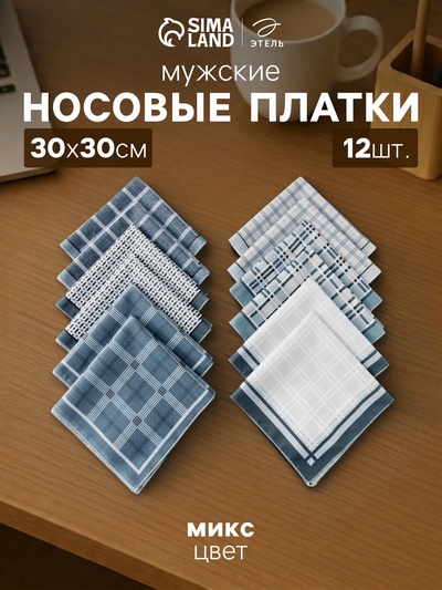 Платки носовые мужские «Этель. Серджио», 30×30 см, 12 шт., хлопок 100%, рисунок МИКС, серые