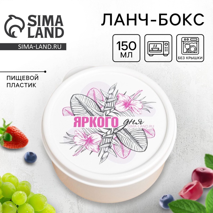 700.jpg?v=1733460748