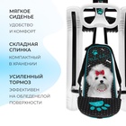Снегокат «Тимка спорт 4-1 Болонка», ТС4-1/БЛ, со спинкой и ремнём безопасности, цвет чёрный/белый - Фото 5