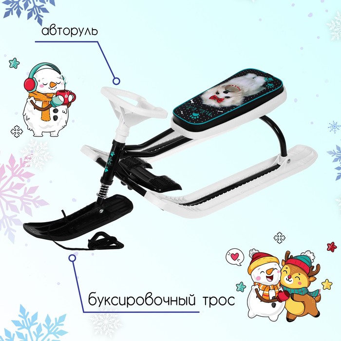 Снегокат «Тимка Спорт 2 + Болонка», ТС2+/БЛ, цвет белый/чёрный - фото 1902794920