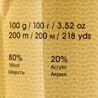 Пряжа "Charisma" 80% шерсть, 20% акрил 200м/100гр (3027 св.терракот) 5504852 - фото 13649079