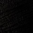 Пряжа "Shetland" 30% шерсть верджин, 70% акрил 220м/100гр (502 чёрный) - фото 8025348