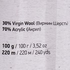 Пряжа "Shetland" 30% шерсть верджин, 70% акрил 220м/100гр (508 розовый) - фото 7533449
