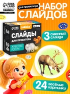 Слайды для проектора ZABIAKA «Животные России», набор, 3 слайда, 24 картинки - Фото 1