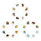 Слайды для проектора «Животные России», набор, 3 слайда, 24 картинки - Фото 2