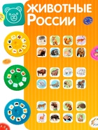 Слайды для проектора ZABIAKA «Животные России», набор, 3 слайда, 24 картинки - Фото 2