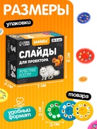 Слайды для проектора ZABIAKA «Животные России», набор, 3 слайда, 24 картинки - Фото 3