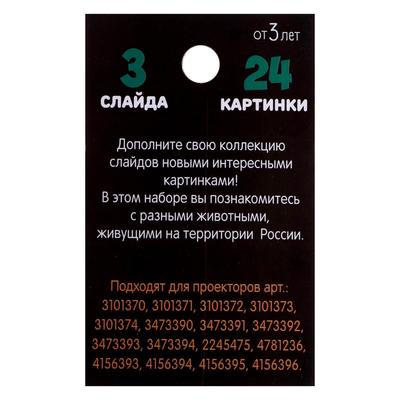 Слайды для проектора ZABIAKA «Животные России», набор, 3 слайда, 24 картинки