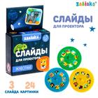 Слайды для проектора «Зверята», набор, 3 слайда, 24 картинки - Фото 1