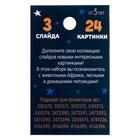 Слайды для проектора «Зверята», набор, 3 слайда, 24 картинки - Фото 3