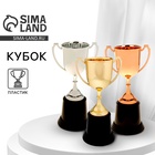 Кубок 036 А, наградная фигура, золото, подставка пластик, 22.7×11.8×9 см - Фото 1