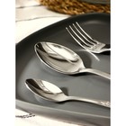 Набор столовых приборов «Славяна», 18 предметов, толщина 1.2 мм, картонная коробка, цвет серебряный - Фото 2